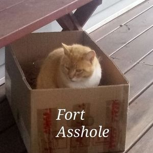 Meet your Posher, Chris